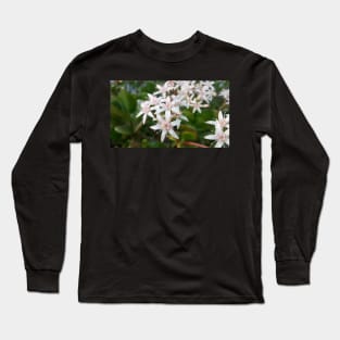 Tiny Flower Long Sleeve T-Shirt